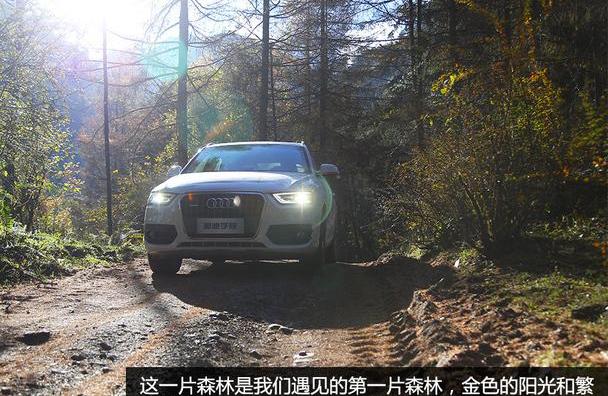 奥迪,奥迪Q3,飞驰