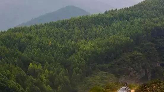 奔驰,奔驰GLA,飞驰,DS