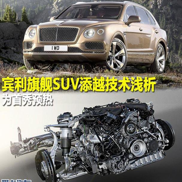 宾利,添越,奥迪,本田,保时捷