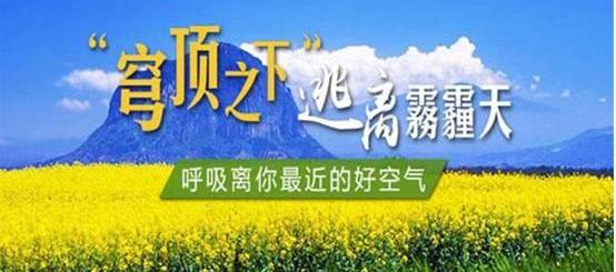 奔驰,飞驰,威霆