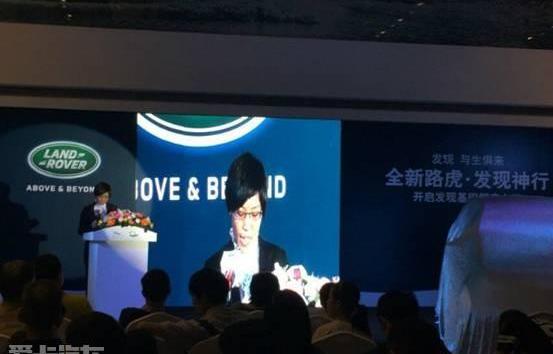 发现,路虎,飞驰,炮