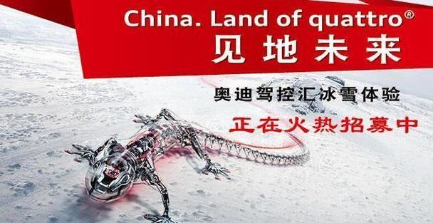 奥迪,飞驰,大众,曼,一汽
