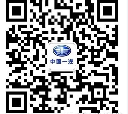 一汽,飞驰