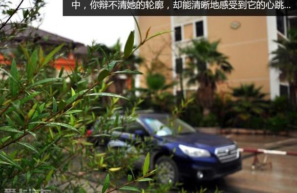 傲虎,天籁,现代