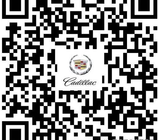 凯迪拉克,飞驰,大发