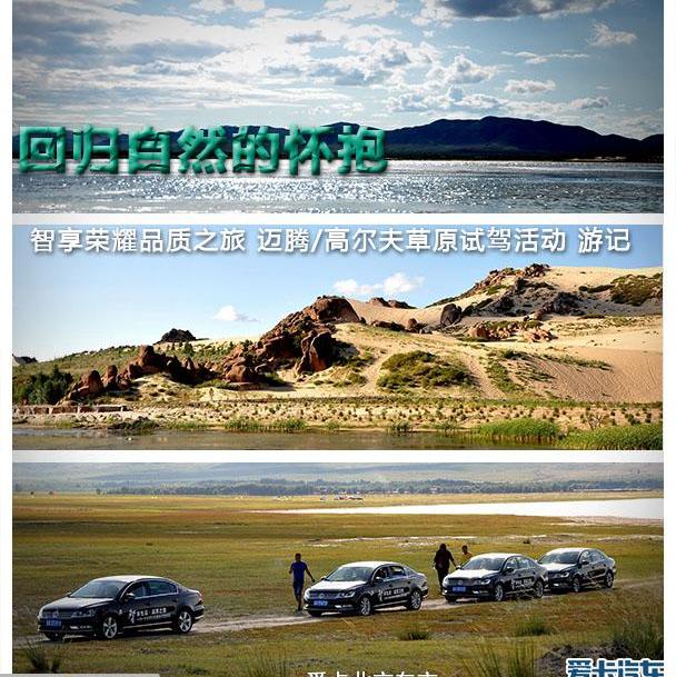 迈腾,大众,高尔夫,现代,一汽
