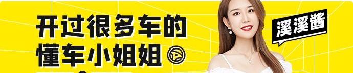 北京,特斯拉,本田,思域,斯柯达