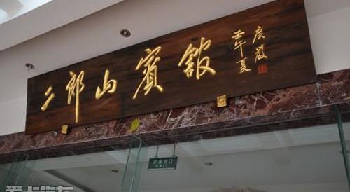 斯柯达,DS,飞驰,大众