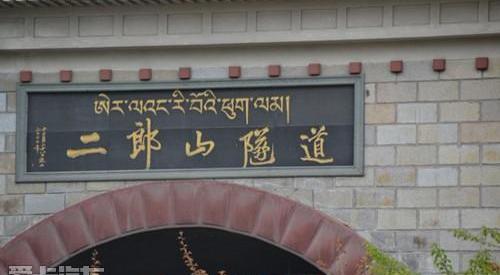 斯柯达,DS,飞驰,大众