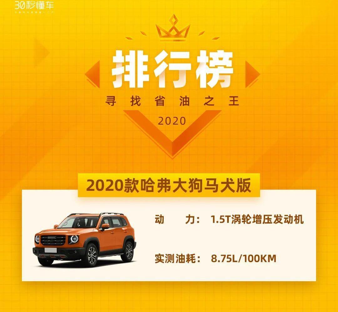 哈弗,哈弗大狗,发现