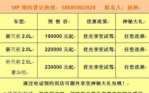 天籁,日产,东风,飞驰,海鸥