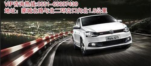 Polo,大众,型格,飞驰,DS