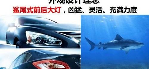 天籁,理念,日产,东风,飞驰