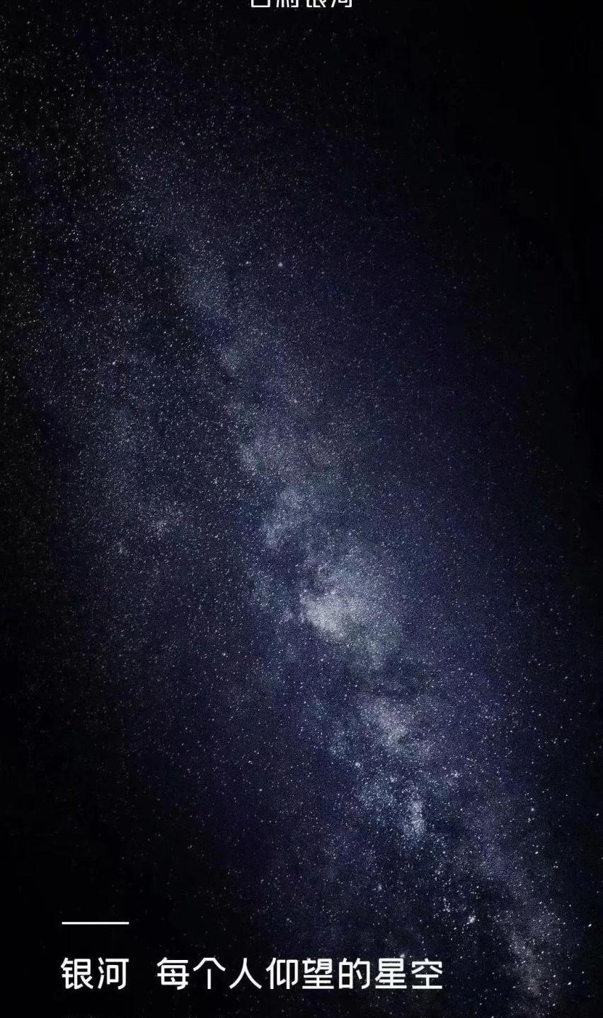 仰望,宝马,长城,比亚迪,奔驰