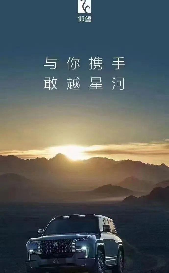 仰望,宝马,长城,比亚迪,奔驰