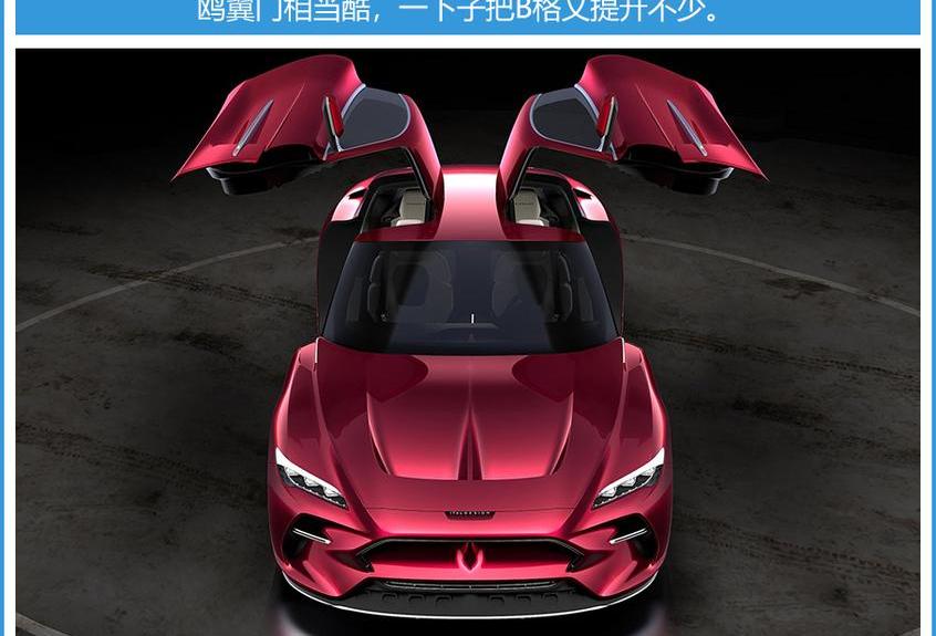 大众,理念,法拉利,路虎,现代