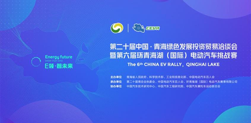 红旗,比亚迪,众泰,北京,长安