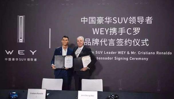 云雀汽车,世纪,标致,长安,长城