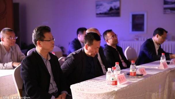 北京,比亚迪,荣威,腾势,蔚来