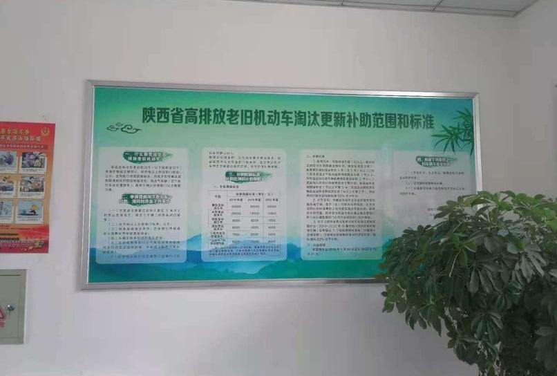 发现,北京,海豚