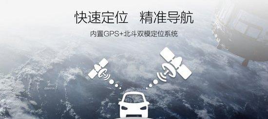 鲸