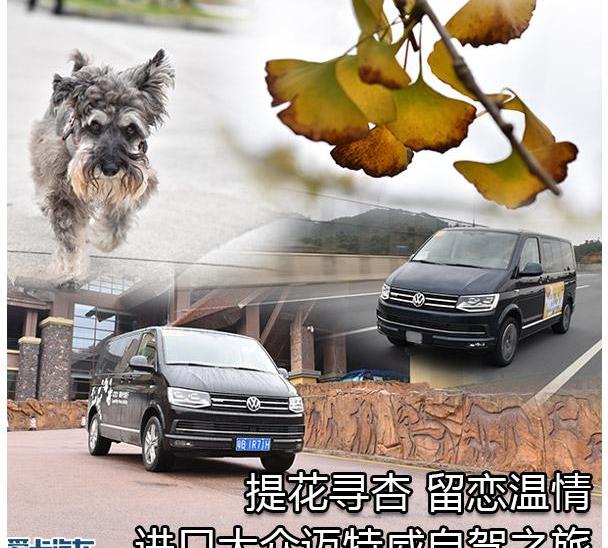 大众