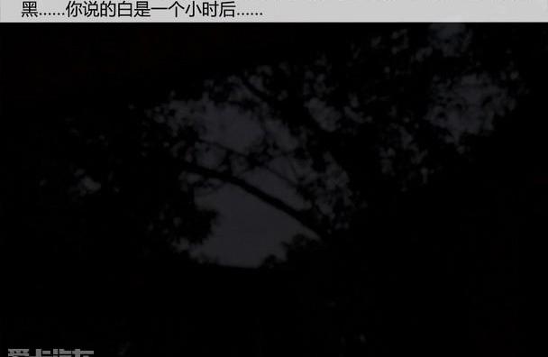 大众