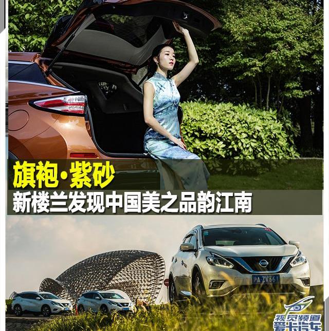 楼兰,现代,理念,发现,鲸