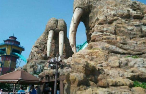 鲸