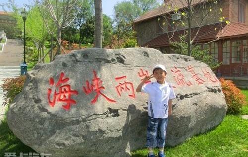 宝马,鲸,圆梦