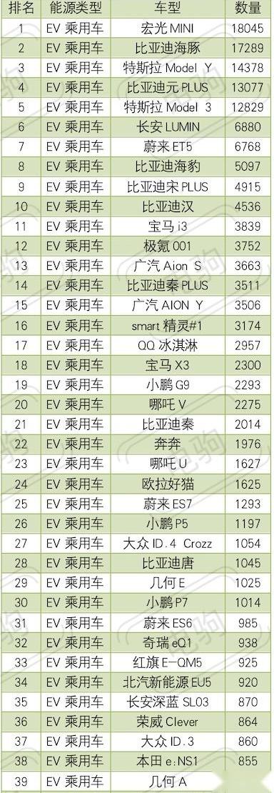 比亚迪,海豚,MINI,特斯拉,元PLUS
