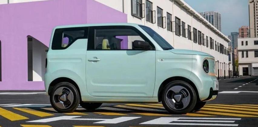 比亚迪,MINI,海豚,护卫舰07,熊猫mini