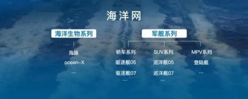 比亚迪,海豚,海鸥,MINI,海豹