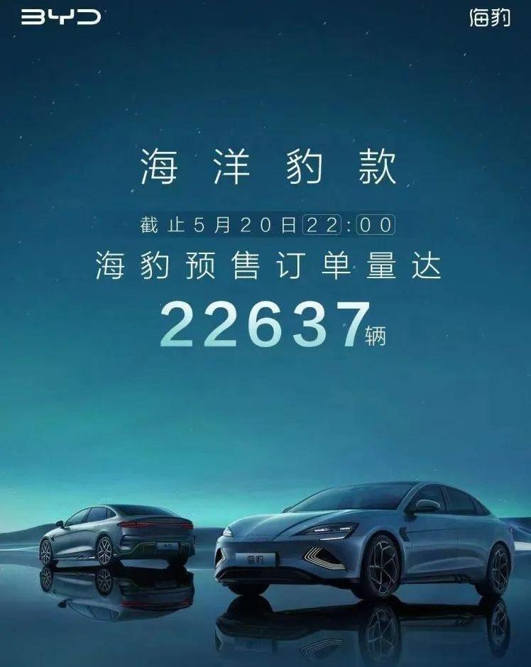 比亚迪,海豚,海鸥,MINI,海豹