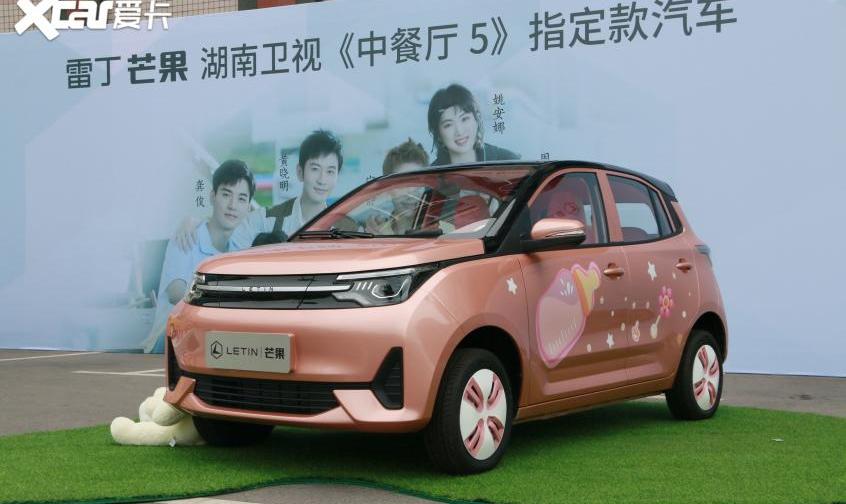 雷丁,雷丁芒果,MINI,宏光MINIEV