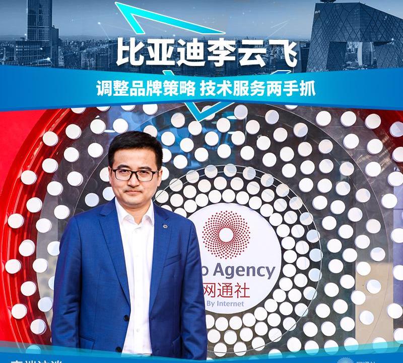 比亚迪,北京,汉,长城,奔驰