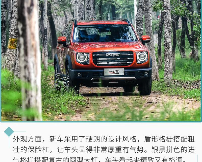 哈弗,哈弗大狗,汉,远程
