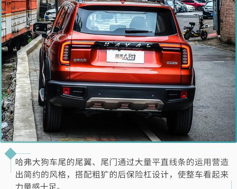 哈弗,哈弗大狗,汉,远程