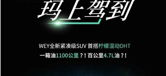 摩卡,沃尔沃,奔驰,长城,奔驰E级