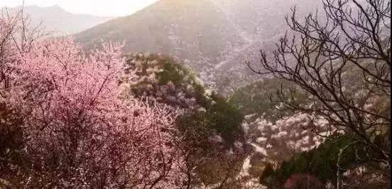 北京,汉