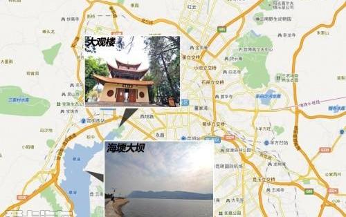海鸥,发现,汉