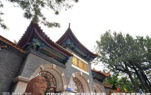 海鸥,发现,汉