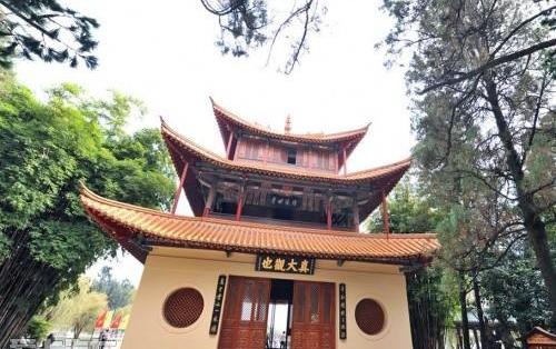 海鸥,发现,汉