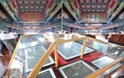海鸥,发现,汉