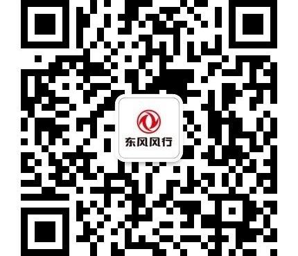 东风风行,东风,三菱,神州,汉