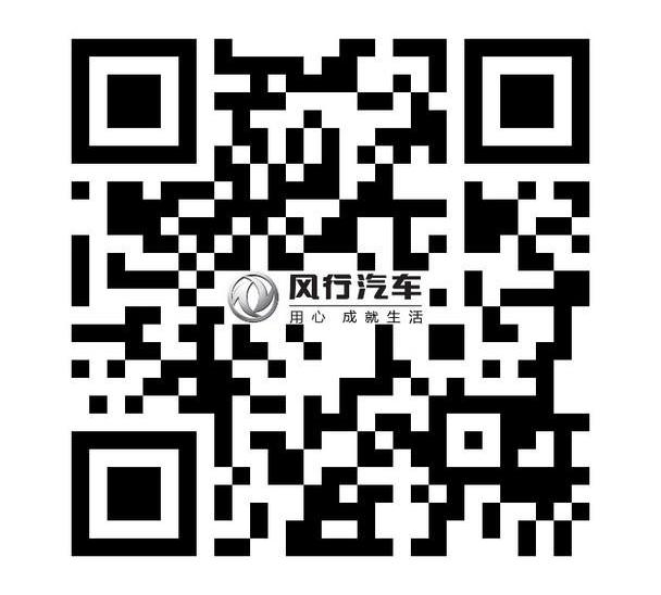 东风风行,东风,三菱,神州,汉