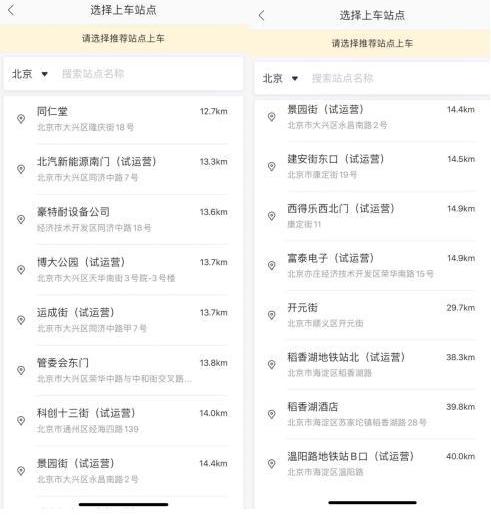 北京,斑马,林肯,发现