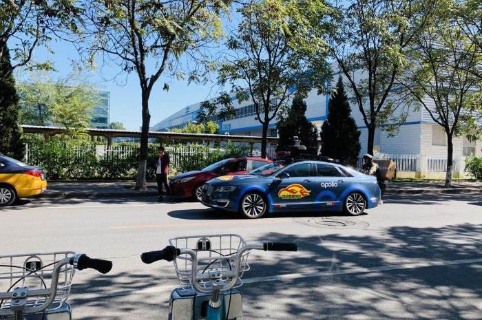 北京,斑马,林肯,发现