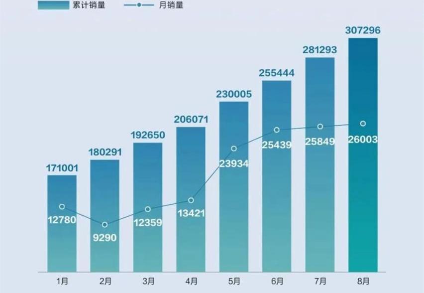 比亚迪,汉,海豚,驱逐舰05,护卫舰07