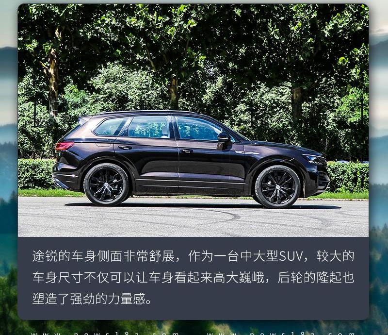 大众,途锐,奔驰,丰田,埃尔法